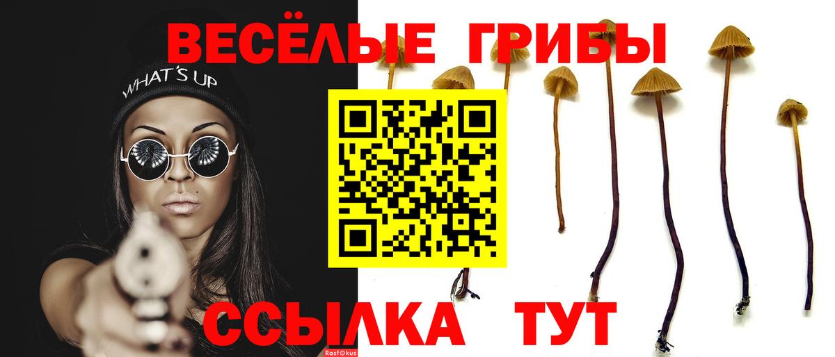 Псилоцибиновые грибы GOLDEN TEACHER  Галлюциногенные грибы Cubensis  продажа наркотиков  Узловая  Вход с VPN 